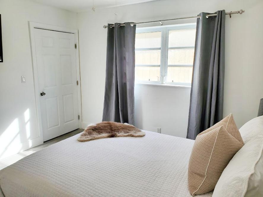 Stylish & Newly-Renovated Suites Near Las Olas Fort Lauderdale Eksteriør bilde